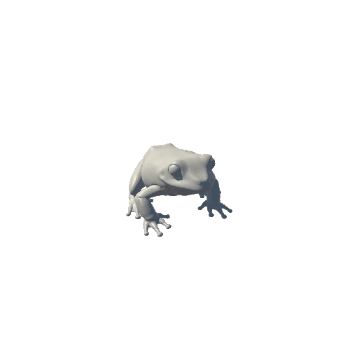 PBR Frog_Anim_Jump